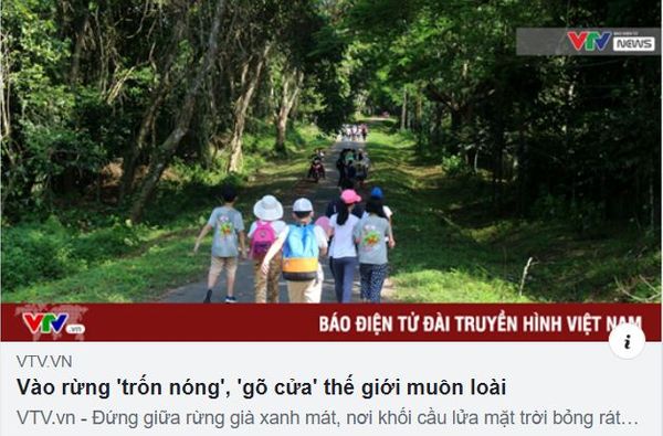 Vào rừng "trốn nóng", "gõ cửa" thế giới muôn loài